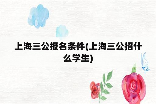 上海三公报名条件(上海三公招什么学生)