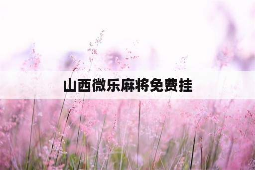 山西微乐麻将免费挂