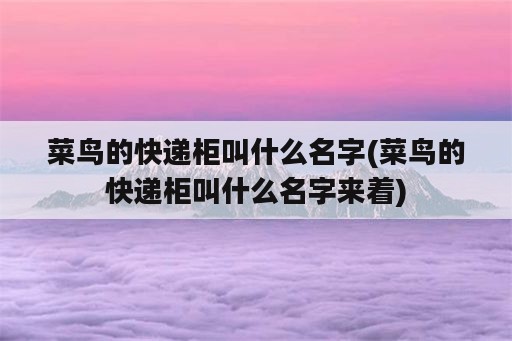 菜鸟的快递柜叫什么名字(菜鸟的快递柜叫什么名字来着)