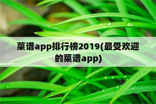 菜谱app排行榜2019(最受欢迎的菜谱app)