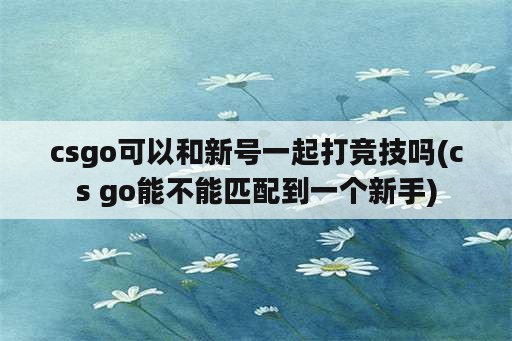 csgo可以和新号一起打竞技吗(cs go能不能匹配到一个新手)