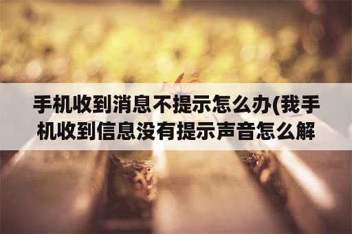 手机收到消息不提示怎么办(我手机收到信息没有提示声音怎么解决)