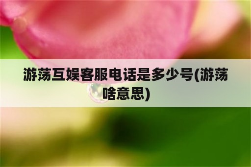 游荡互娱客服电话是多少号(游荡啥意思)