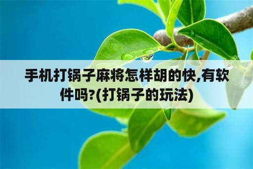 手机打锅子麻将怎样胡的快,有软件吗?(打锅子的玩法)