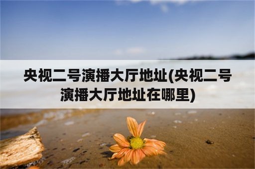 央视二号演播大厅地址(央视二号演播大厅地址在哪里)