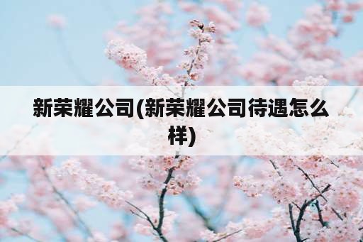 新荣耀公司(新荣耀公司待遇怎么样)