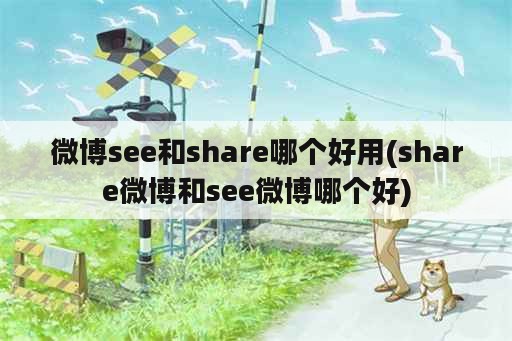 微博see和share哪个好用(share微博和see微博哪个好)