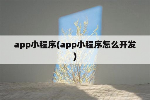 app小程序(app小程序怎么开发)