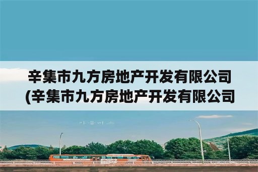 辛集市九方房地产开发有限公司(辛集市九方房地产开发有限公司信用代码)