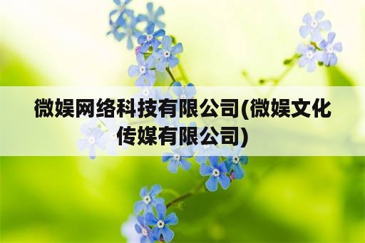 微娱网络科技有限公司(微娱文化传媒有限公司)