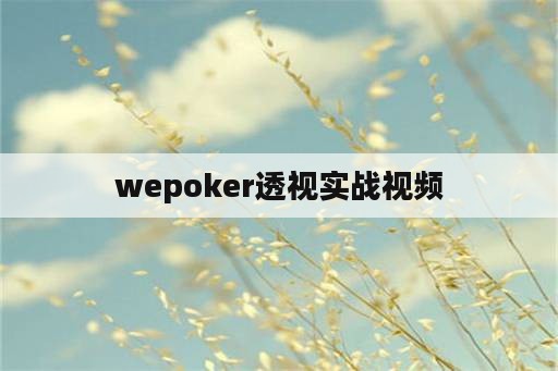 wepoker透视实战视频