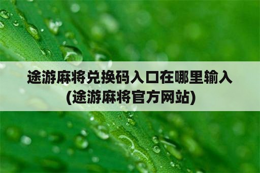 途游麻将兑换码入口在哪里输入(途游麻将官方网站)