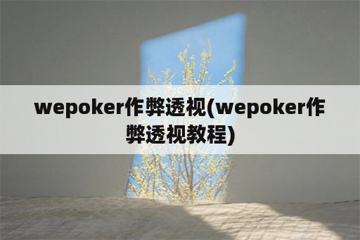 wepoker作弊透视(wepoker作弊透视教程)