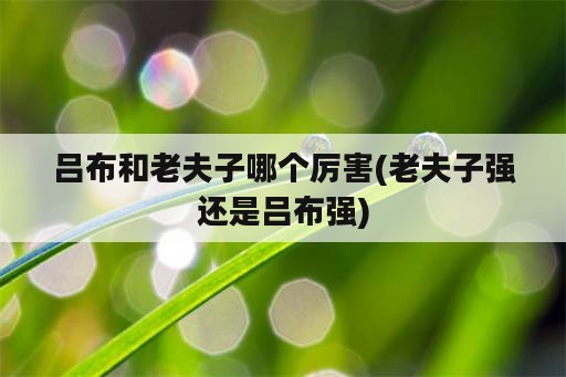 吕布和老夫子哪个厉害(老夫子强还是吕布强)