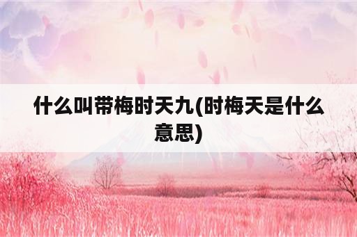 什么叫带梅时天九(时梅天是什么意思)