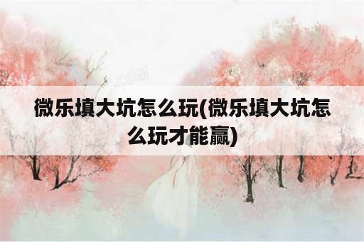 微乐填大坑怎么玩(微乐填大坑怎么玩才能赢)