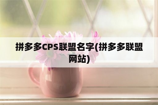 拼多多CPS联盟名字(拼多多联盟网站)