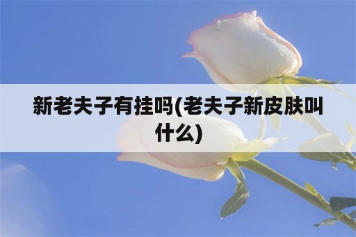 新老夫子<strong>有挂</strong>吗(老夫子新皮肤叫什么)