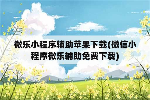 微乐小程序辅助苹果下载(微信小程序微乐辅助免费下载)