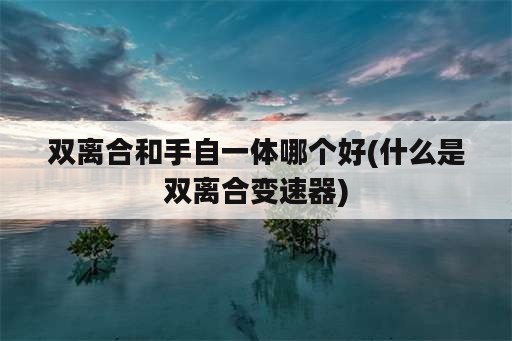 双离合和手自一体哪个好(什么是双离合变速器)