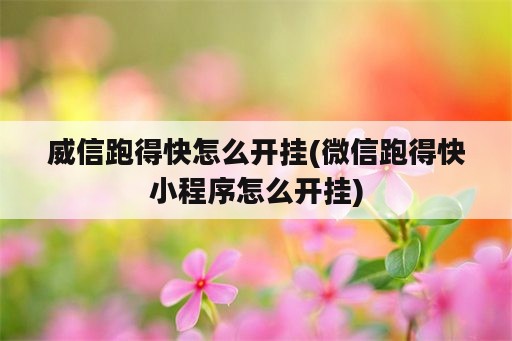 威信跑得快怎么开挂(微信跑得快小程序怎么开挂)