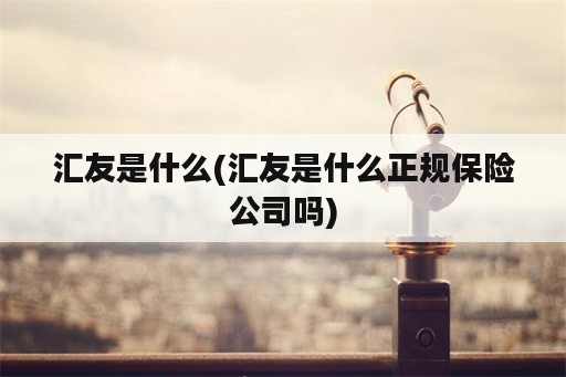 汇友是什么(汇友是什么正规保险公司吗)