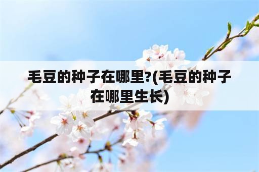 毛豆的种子在哪里?(毛豆的种子在哪里生长)