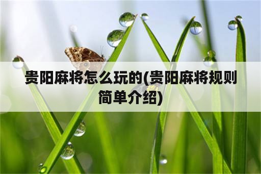 贵阳麻将怎么玩的(贵阳麻将规则简单介绍)