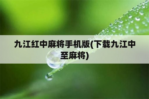 九江红中麻将手机版(下载九江中至麻将)