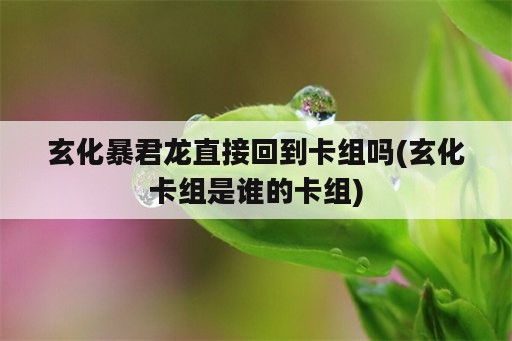 玄化暴君龙直接回到卡组吗(玄化卡组是谁的卡组)