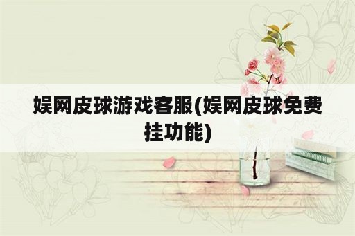 娱网皮球游戏客服(娱网皮球免费挂功能)