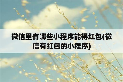 微信里有哪些小程序能得红包(微信有红包的小程序)