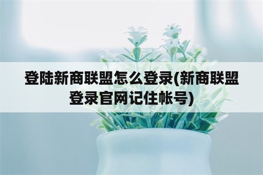 登陆新商联盟怎么登录(新商联盟登录官网记住帐号)