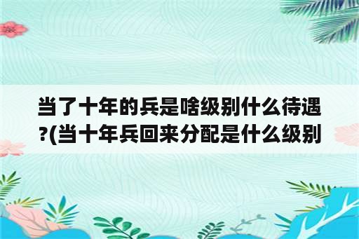 当了十年的兵是啥级别什么待遇?(当十年兵回来分配是什么级别的干部)