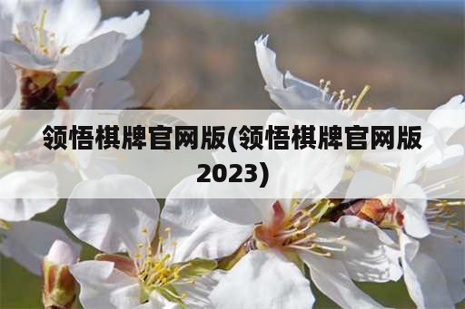 领悟棋牌官网版(领悟棋牌官网版2023)