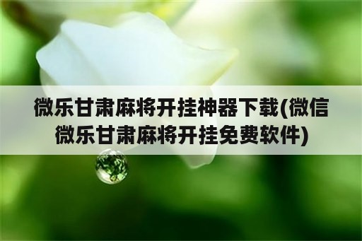 微乐甘肃麻将开挂神器下载(微信微乐甘肃麻将开挂免费<strong>软件</strong>)