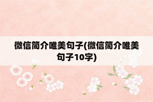 微信简介唯美句子(微信简介唯美句子10字)