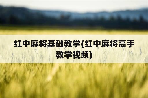 红中麻将基础教学(红中麻将高手教学视频)