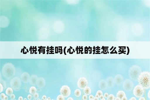 心悦<strong>有挂</strong>吗(心悦的挂怎么买)