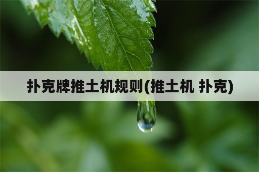 扑克牌推土机规则(推土机 扑克)