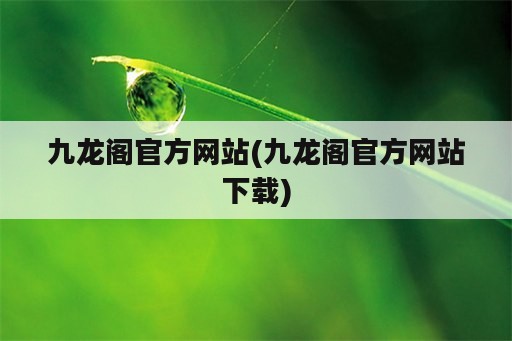 九龙阁官方网站(九龙阁官方网站下载)