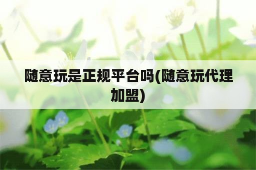 随意玩是正规平台吗(随意玩代理加盟)