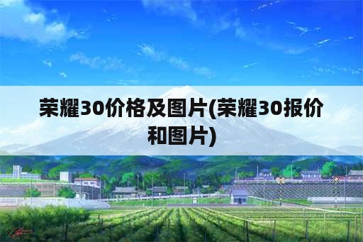 荣耀30价格及图片(荣耀30报价和图片)