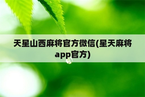 天星山西麻将官方微信(星天麻将app官方)