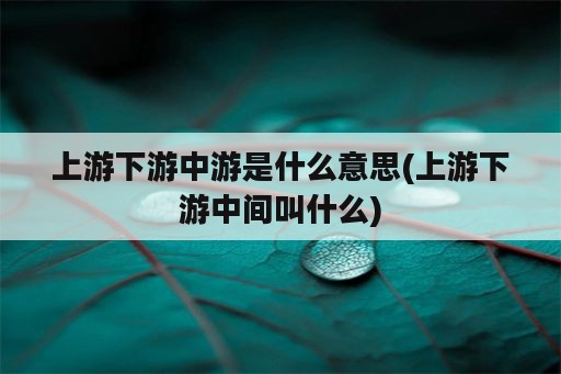 上游下游中游是什么意思(上游下游中间叫什么)