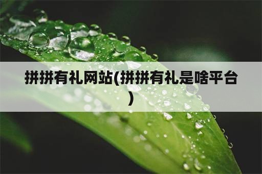 拼拼有礼网站(拼拼有礼是啥平台)