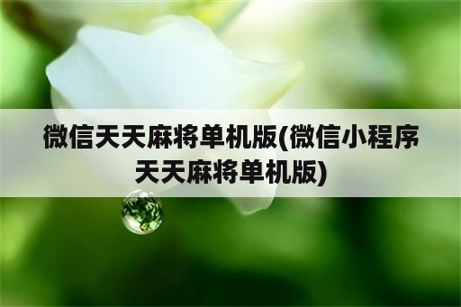 微信天天麻将单机版(微信小程序天天麻将单机版)