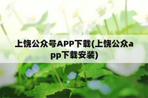 上饶公众号APP下载(上饶公众app下载安装)