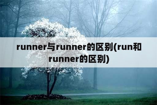 runner与runner的区别(run和runner的区别)