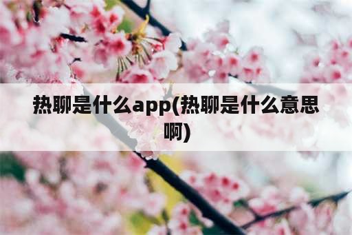 热聊是什么app(热聊是什么意思啊)